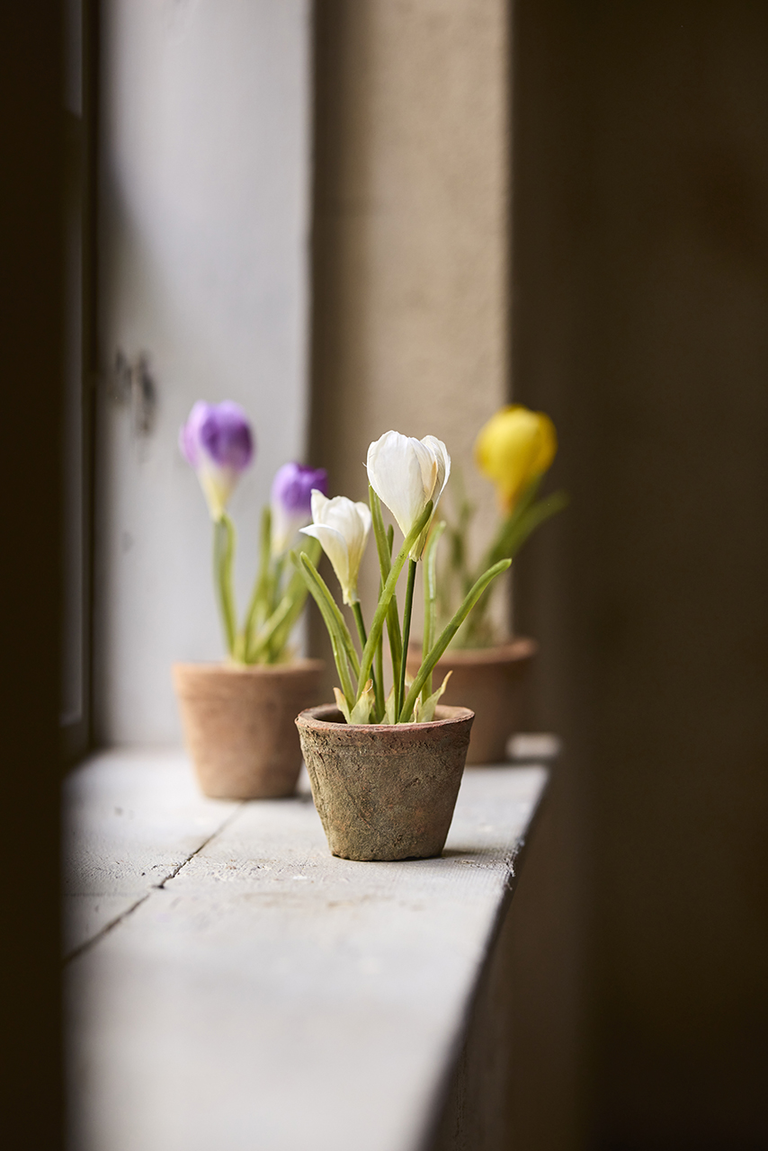 /images/imagebankSeasons/small/Mr Plant SS 2024/1496-99-1.jpg